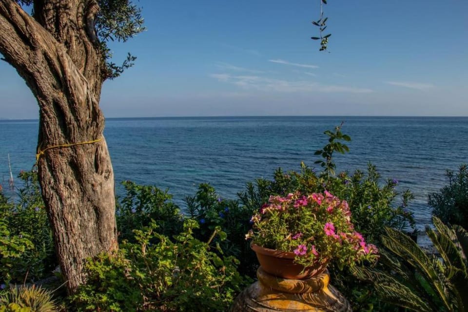 Natural landscape, Beach