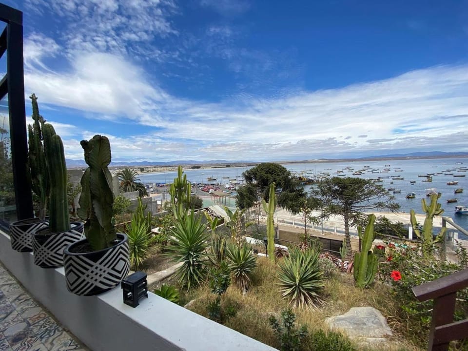 Natural landscape, Garden, Sea view