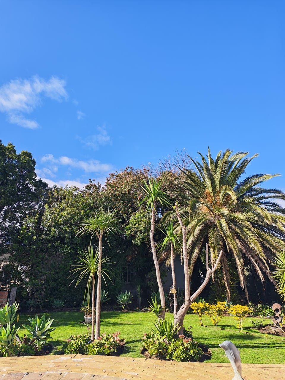 Garden view