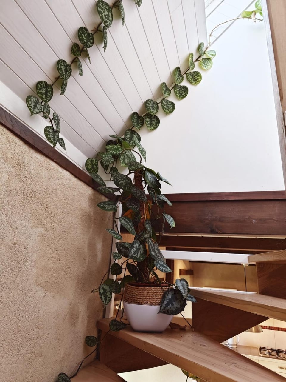 Chestnut - Charming cottage - Renovated 2024- Gîte de charme - Rénové 2024 House in Plougasnou