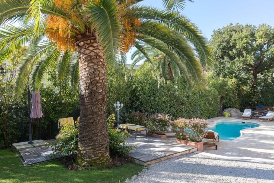 Garden, Garden view, Pool view, Swimming pool, sunbed