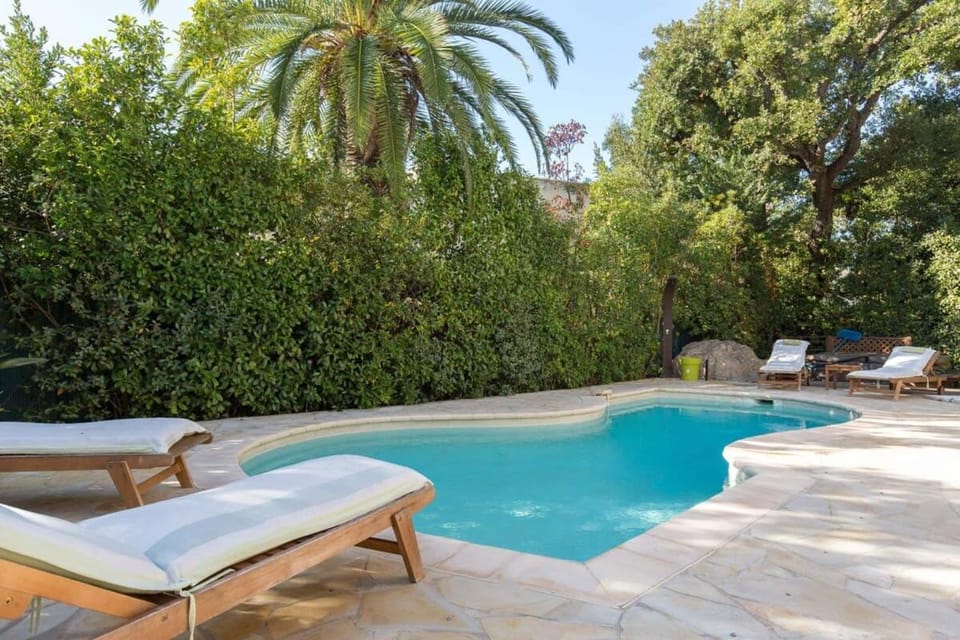 Patio, Garden, Garden view, Pool view, Swimming pool, sunbed
