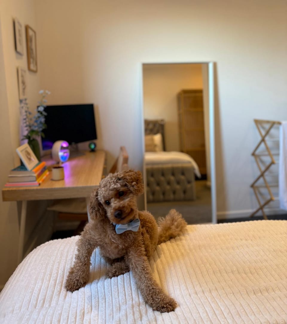 Room Near Airport Dog Lovers Welcome Bed and Breakfast in London