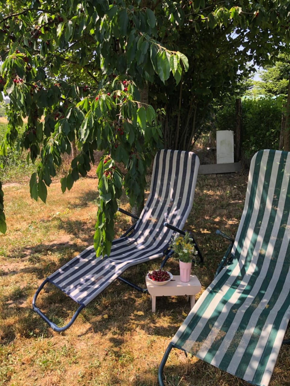 sunbed