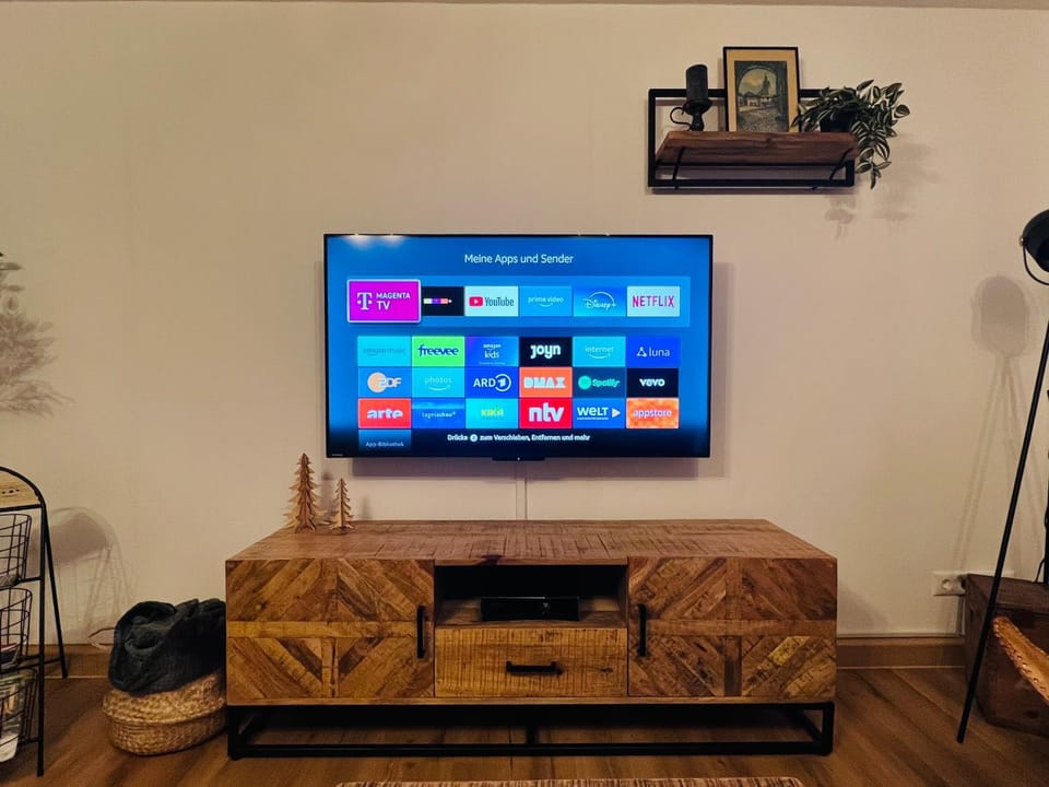TV and multimedia