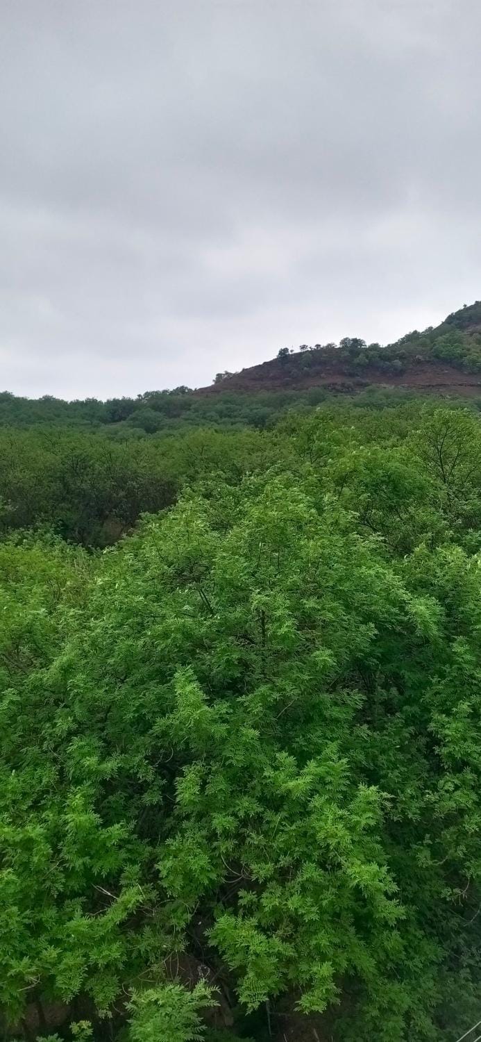 Swapna Villa Villa in Maharashtra