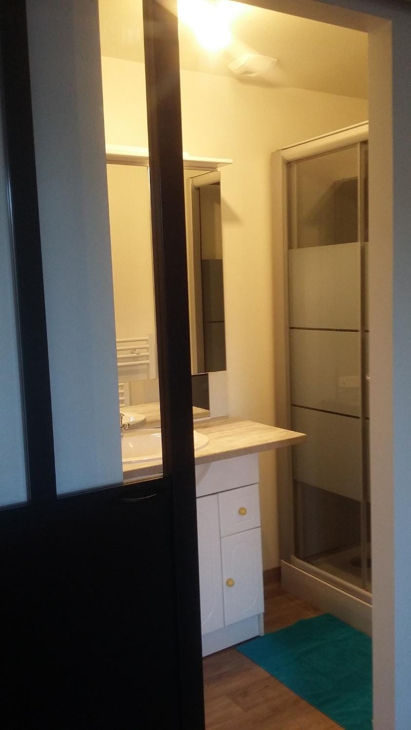 Le petit nid aux bords de vienne Apartment in Limoges