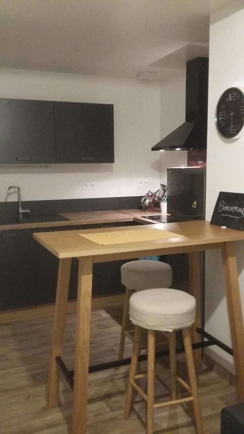 Le petit nid aux bords de vienne Apartment in Limoges
