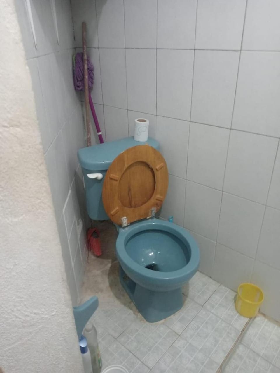 Rhinos House Apartment in San Miguel de Cozumel