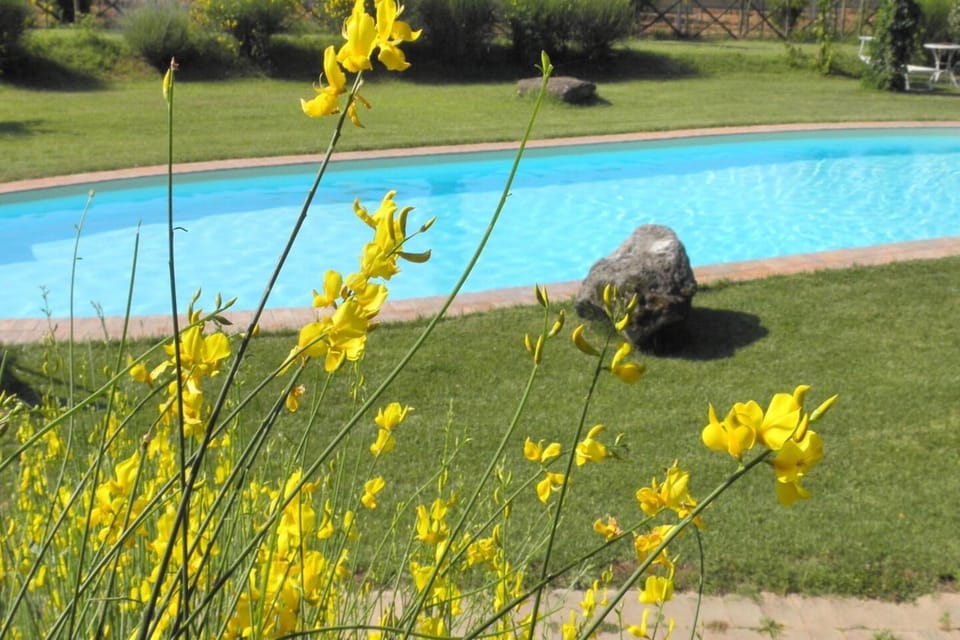 Spring, Winter, Summer, Autumn, Swimming pool