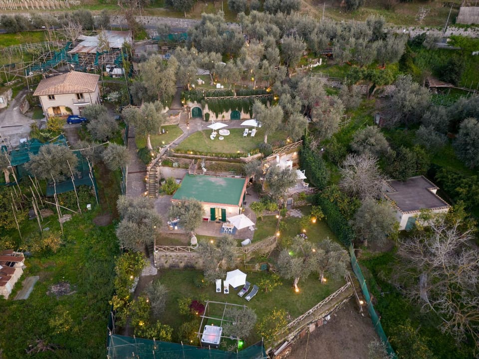 Bird's eye view, Garden view
