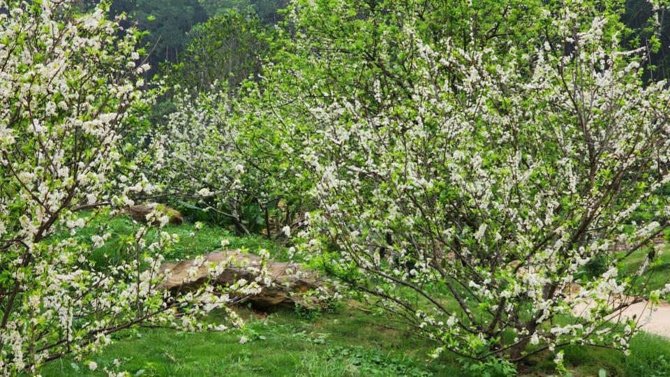 Nhà sàn cộng đồng Chalet in Vietnam