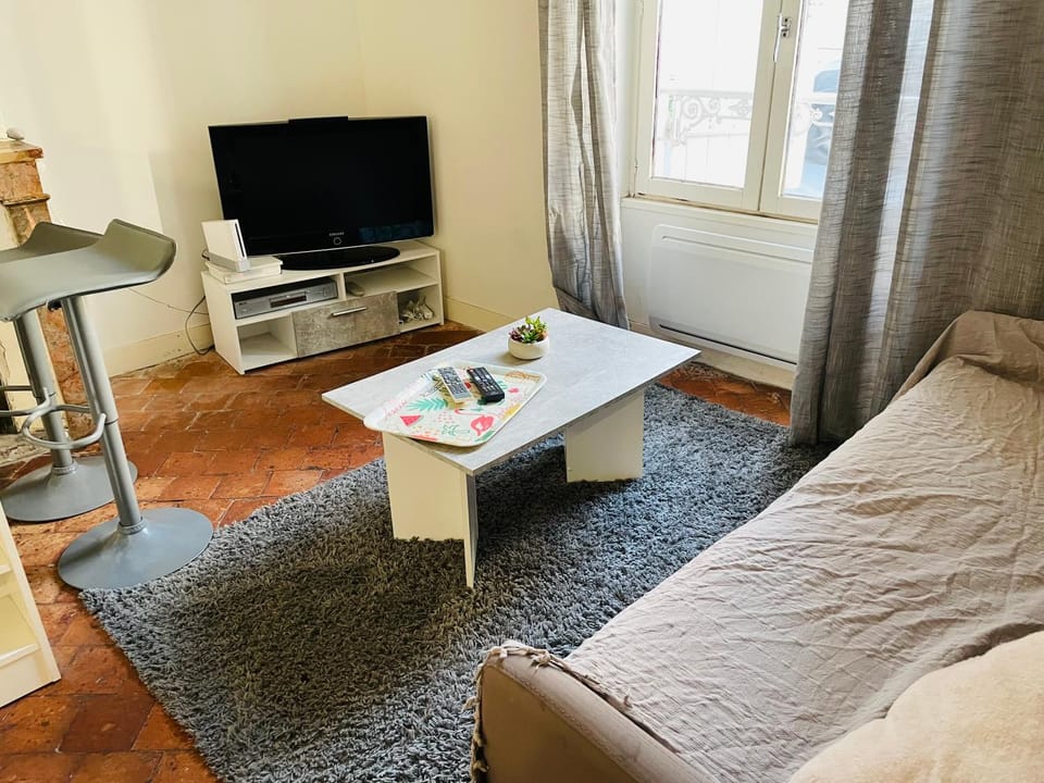 Départ tardif appartement T2 avec 1 chambre centre Orléans Apartment in Orléans