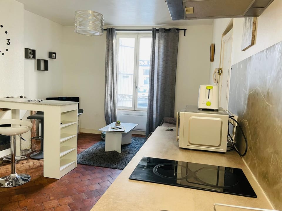 Départ tardif appartement T2 avec 1 chambre centre Orléans Apartment in Orléans