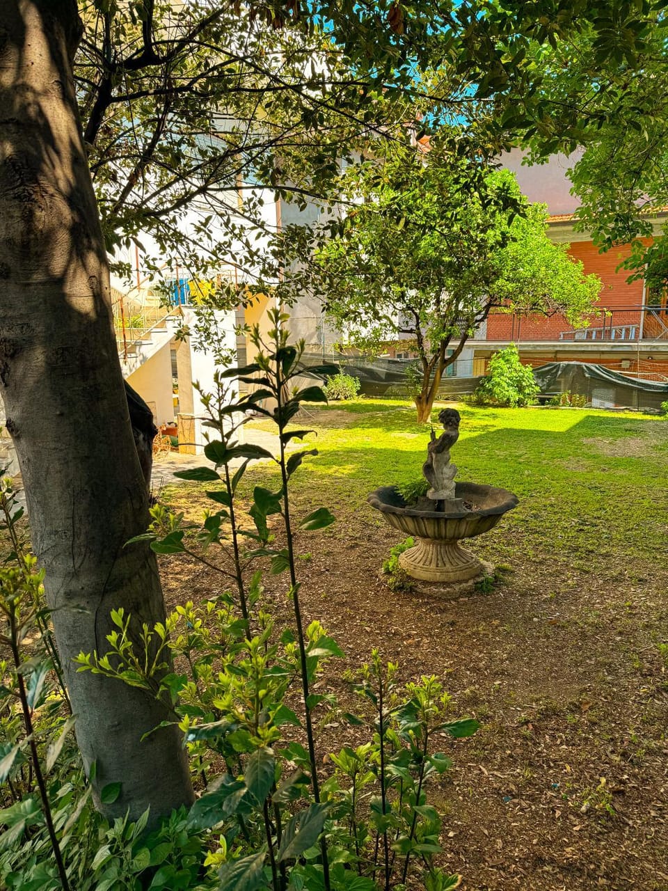 Garden