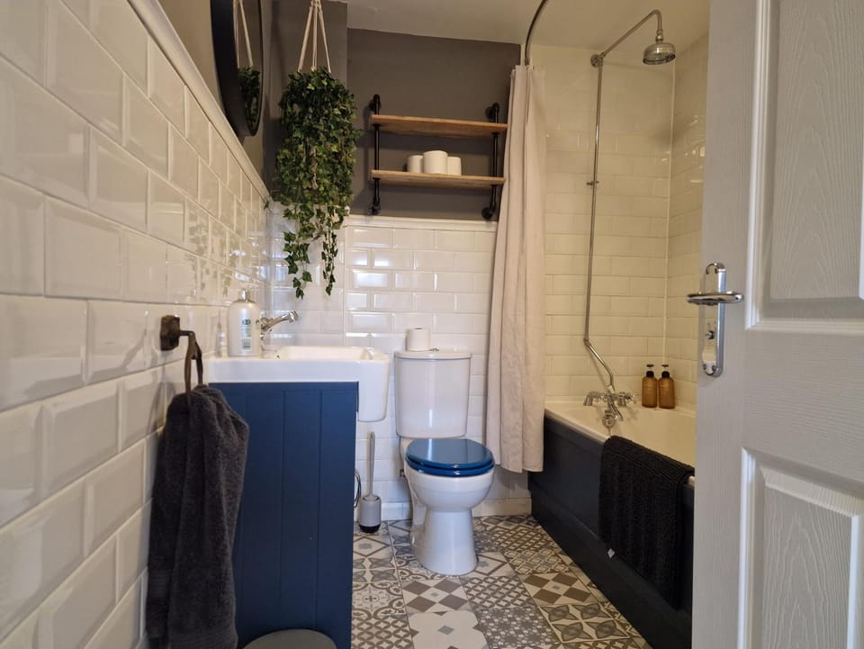 Shower, Toilet, Bathroom, Bath
