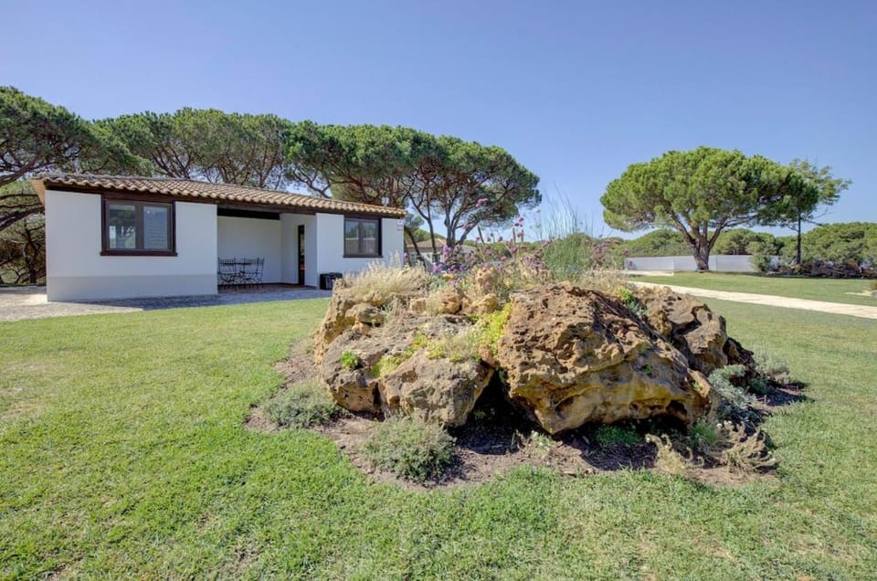 Property building, Garden, Garden view