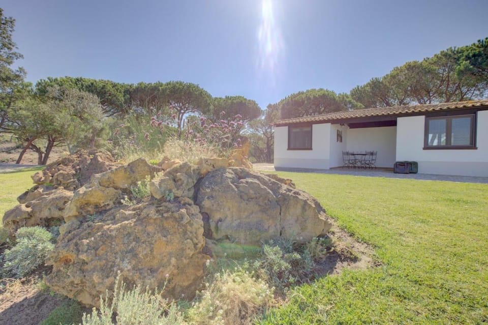 Property building, Garden, Garden view