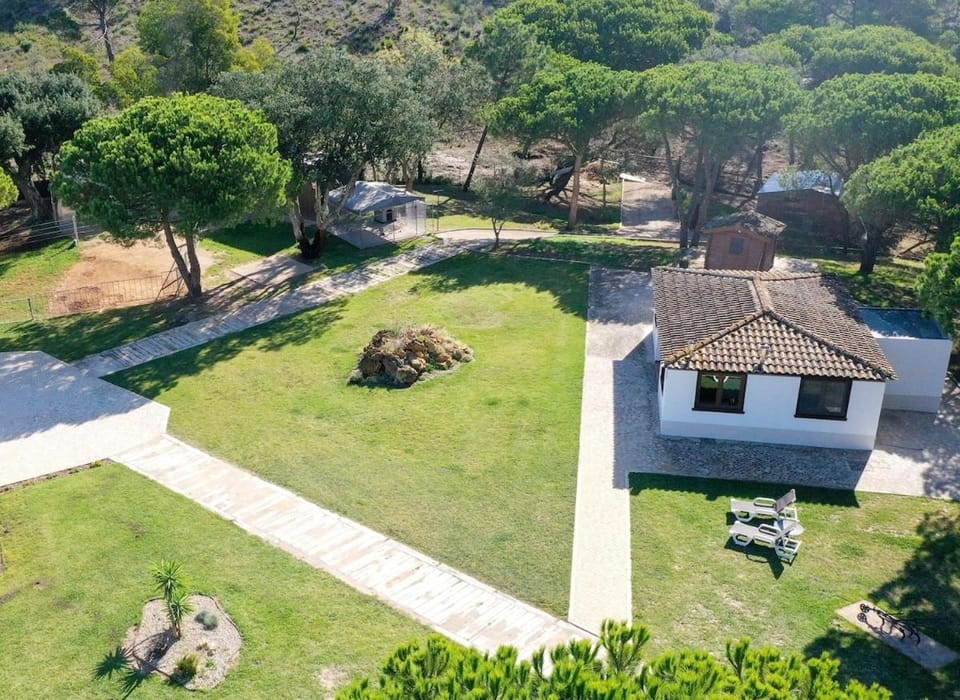 Natural landscape, Garden, Garden view