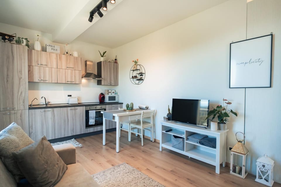 TV and multimedia, Kitchen or kitchenette, Living room, Seating area, Dining area, minibar, oven, stove