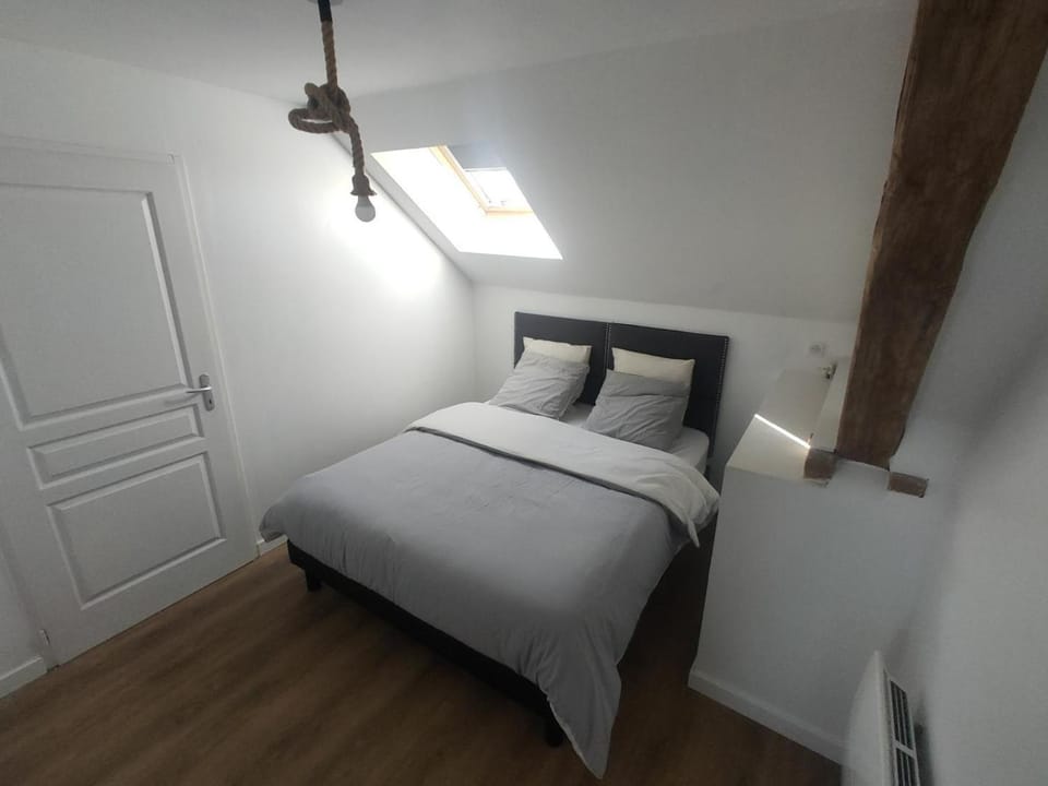 Gîte Campagnard avec Wifi et Animaux Acceptés - FR-1-489-559 House in Auvergne-Rhône-Alpes