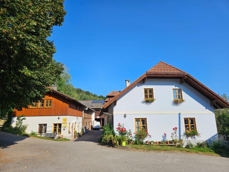 Property building, Day