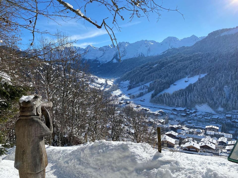 2 Pièces Confortables pour 4 au Grand-Bornand avec Balcon - FR-1-458-214 Apartment in Le Grand-Bornand