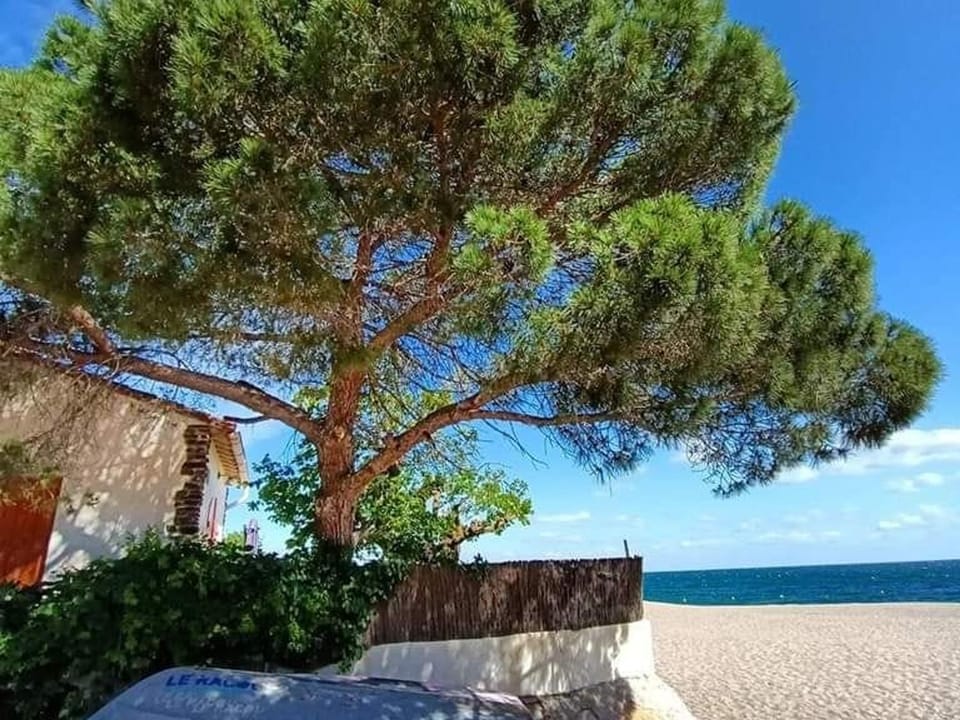 Appartement 2 pièces avec piscine, tennis et parking, animaux permis, à 500m de la mer - FR-1-776-121 Apartment in Argeles-sur-Mer