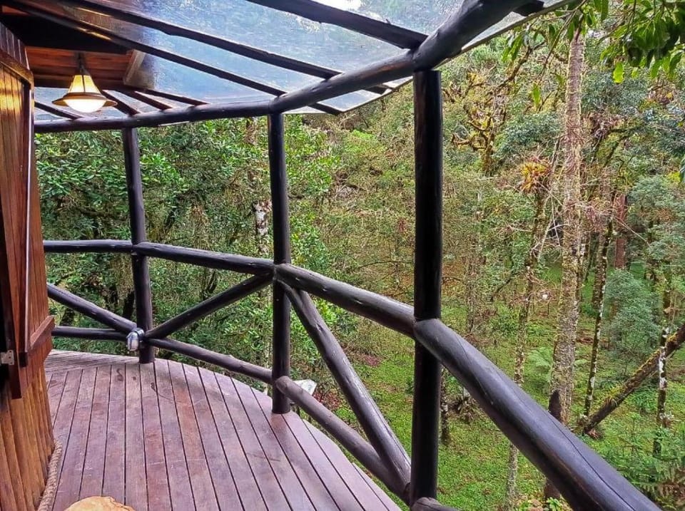 Balcony/Terrace, Garden view
