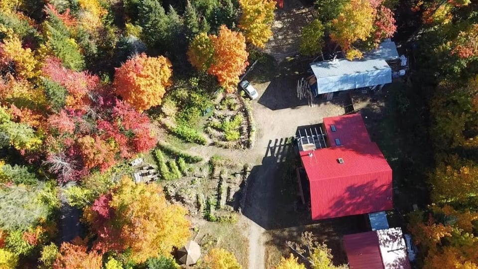 Natural landscape, Bird's eye view, Garden