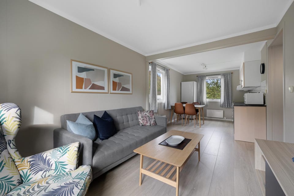 Living room, kitchen
