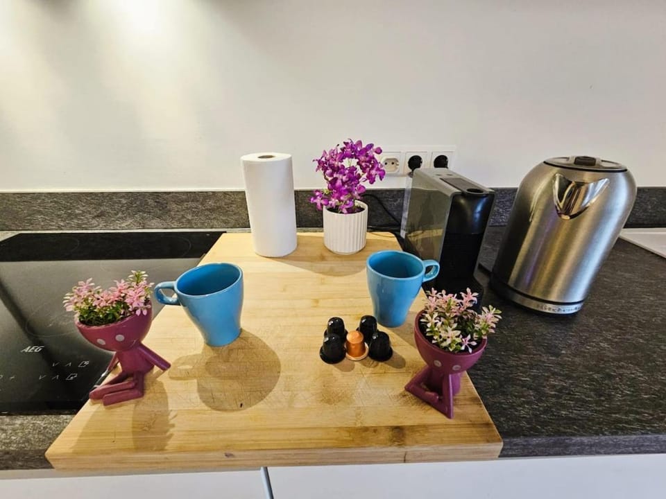 Cozy 1 bedroom flat with private terrace Apartment in Luxembourg