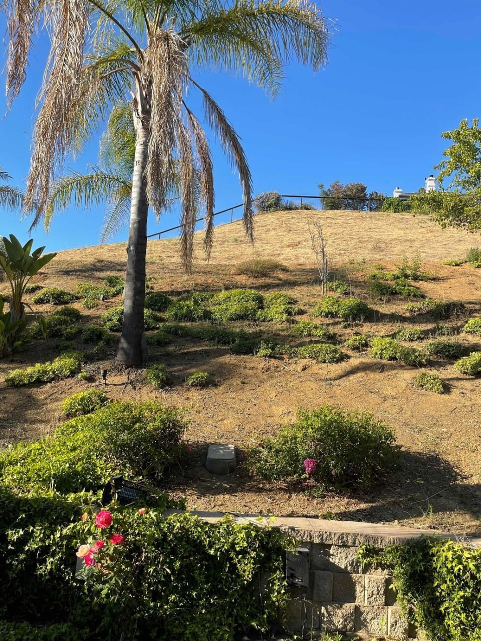 Spacious 4-BR, 3-BA Home in San Jose House in Evergreen