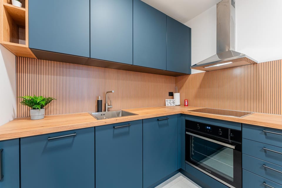 Kitchen or kitchenette, dishwasher, oven, stove