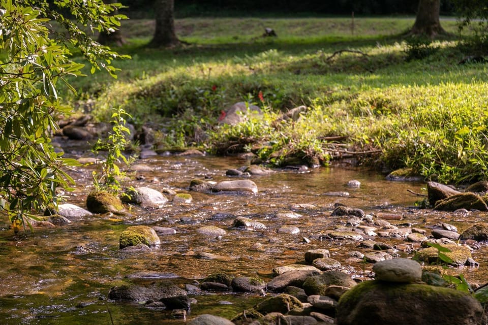 Up the Creek House in Caldwell