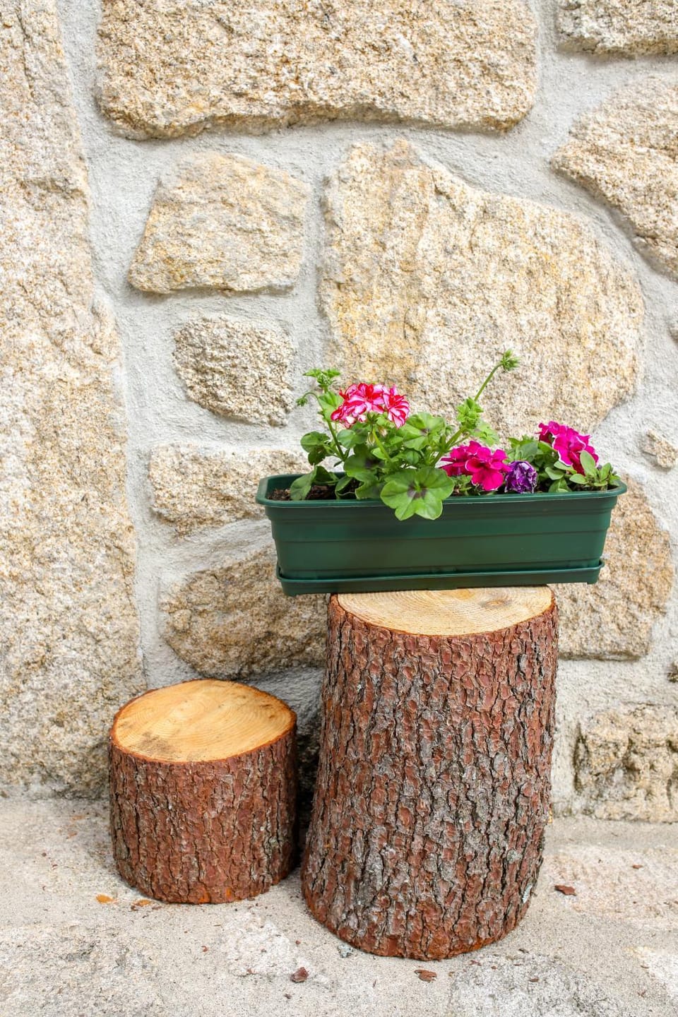 Day, Garden