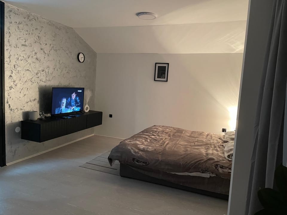 Fenix Apartman III Apartment in Serbia