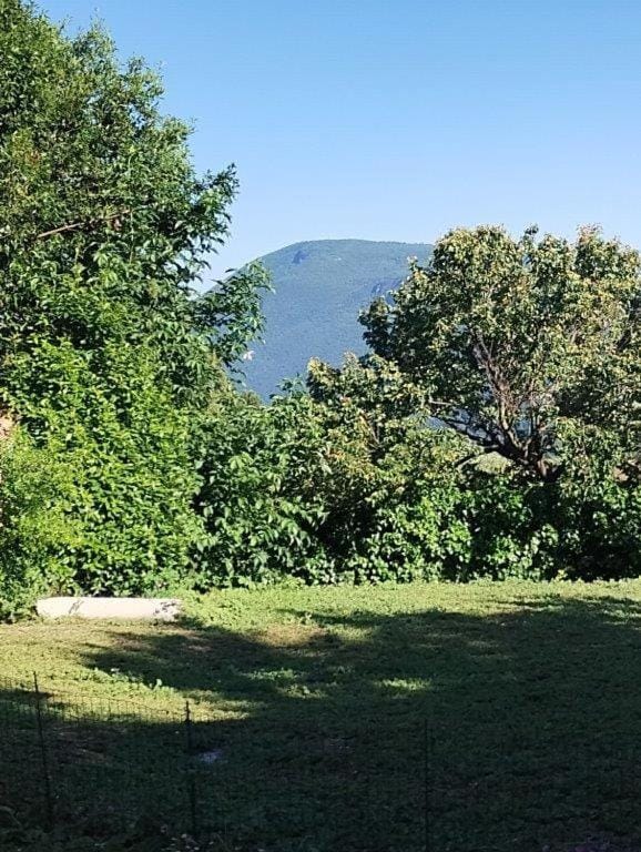 Natural landscape