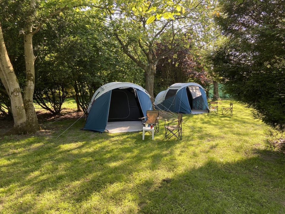 Day, Natural landscape, Garden