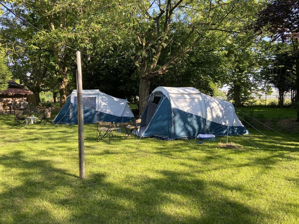 Day, Garden, Garden view