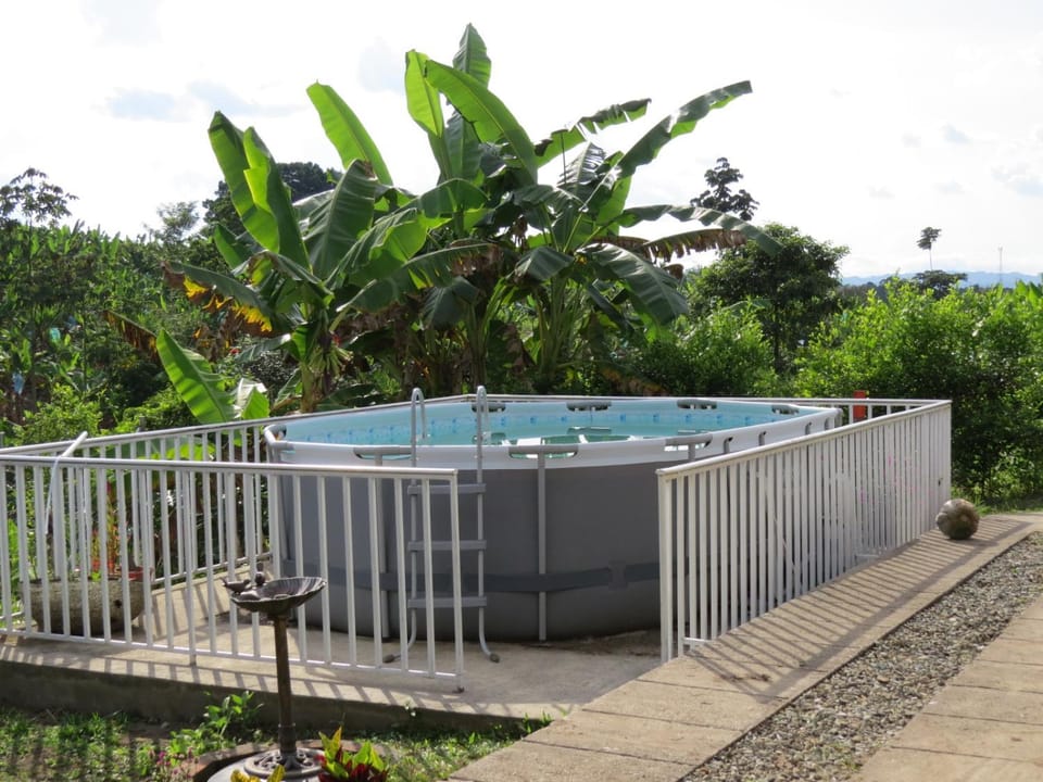 Natural landscape, Garden view, Pool view, Swimming pool
