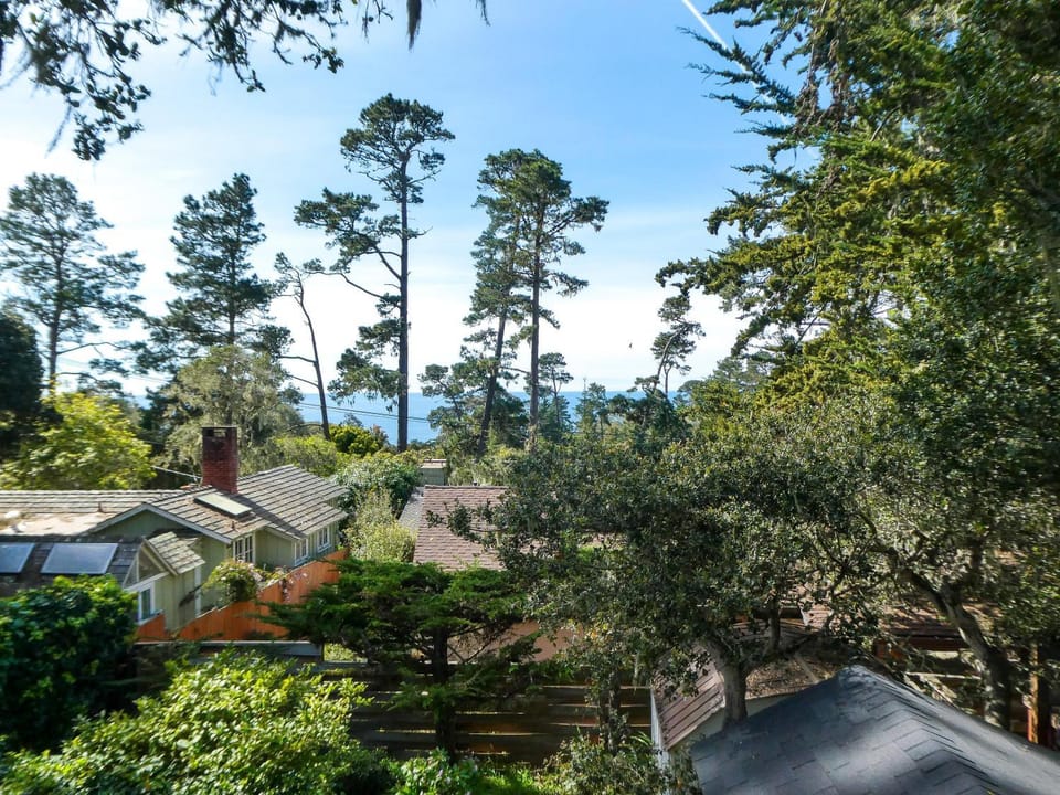 Natural landscape, Garden, Garden view, Sea view