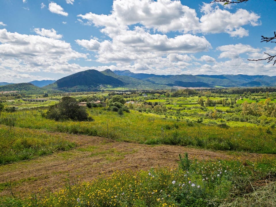 Natural landscape, View (from property/room), Mountain view