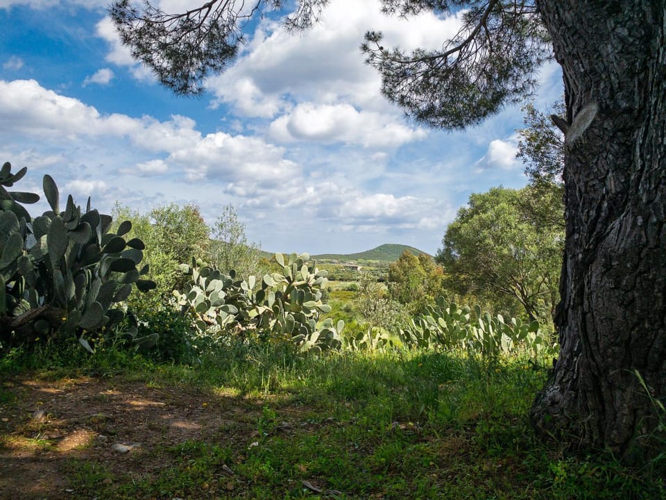 Natural landscape, View (from property/room), Mountain view