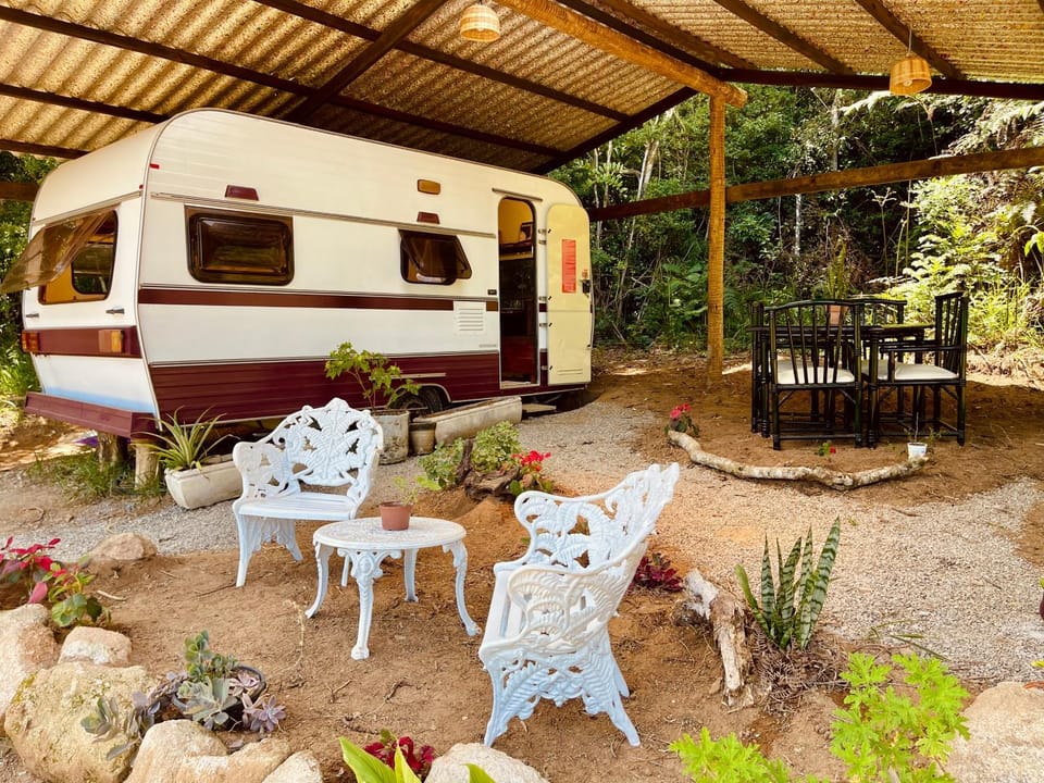 Patio, Garden