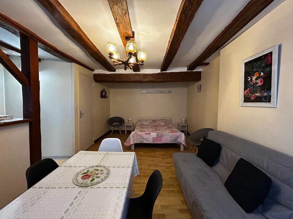 Charmant T2 au centre de La Roche-Posay avec WIFI et parking gratuit - FR-1-541-163 Apartment in Nouvelle-Aquitaine