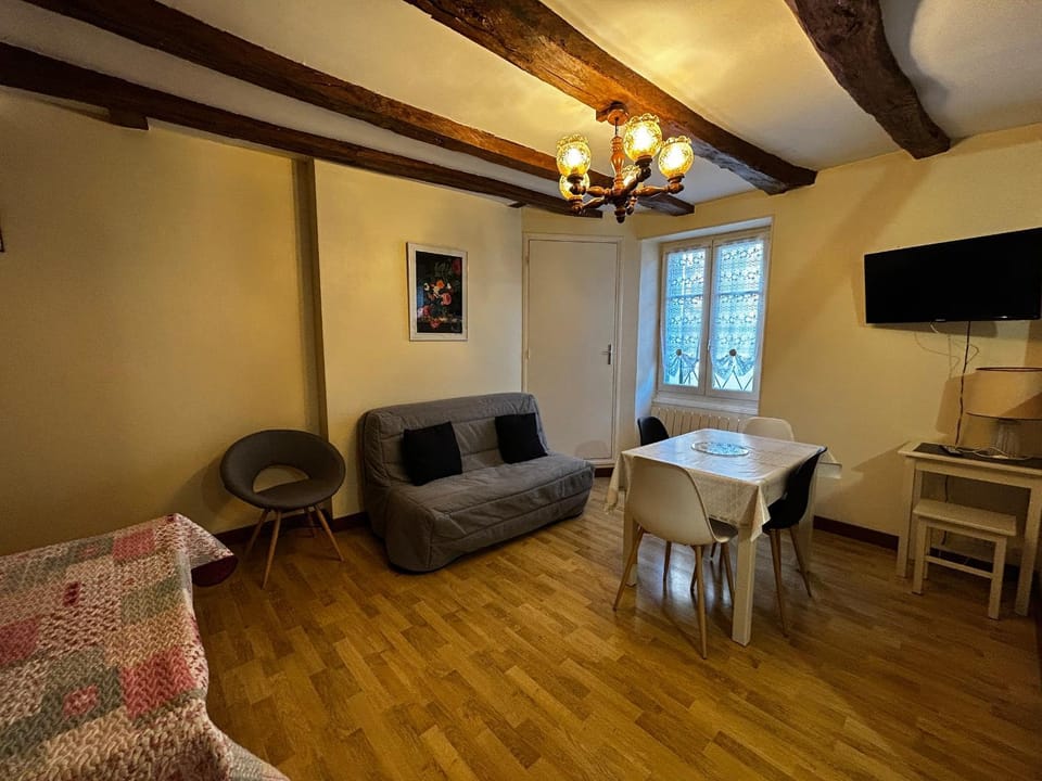 Charmant T2 au centre de La Roche-Posay avec WIFI et parking gratuit - FR-1-541-163 Apartment in Nouvelle-Aquitaine