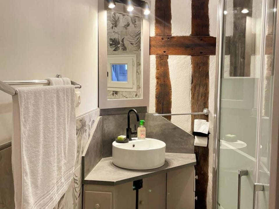 Superbe Triplex rénové à Blois avec Wi-Fi inclus - FR-1-491-455 Apartment in Blois