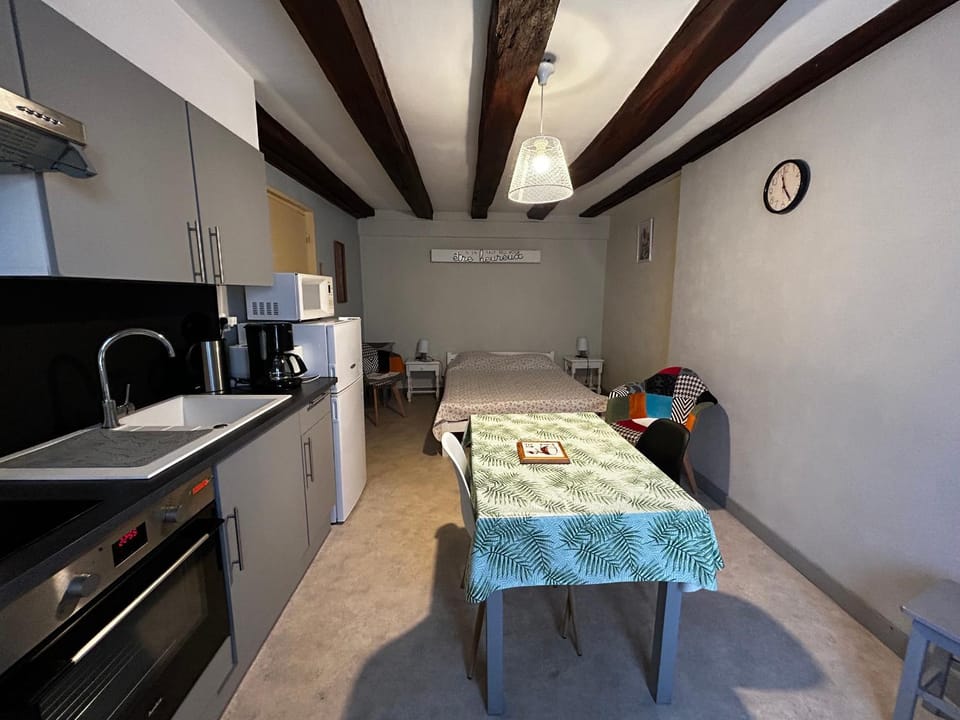 Studio centre La Roche-Posay, Wifi, parking gratuit - FR-1-541-161 Apartment in Nouvelle-Aquitaine