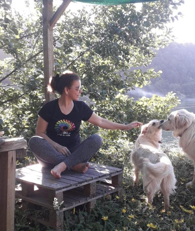Natural landscape, Pets
